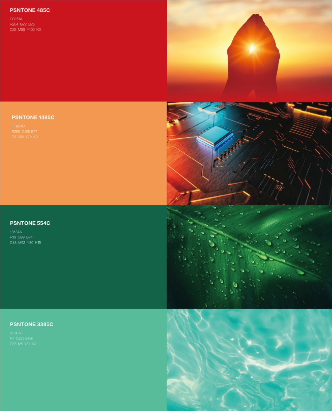 BCGAME(�й�)�ٷ���վ