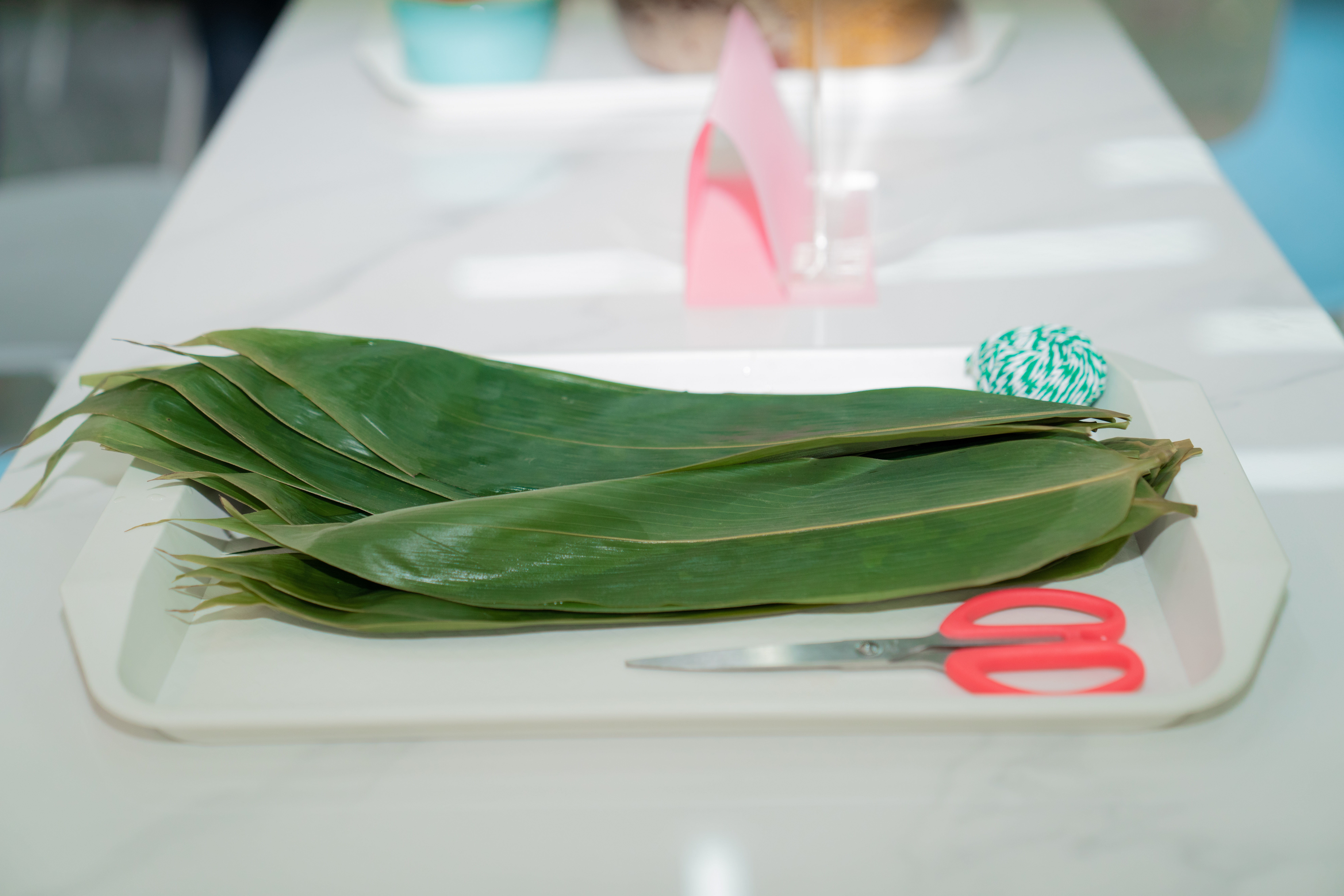 BCGAME(�й�)�ٷ���վ